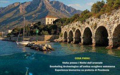 Gli Approdi Sommersi di Caposele – IX Edizione – Snorkeling Archeologico