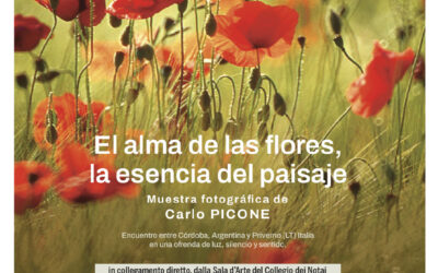 Inaugurazione Mostra Fotografica “L’anima dei fiori, l’essenza del paesaggio” di Carlo Picone – Collegamento in diretta dall’Argentina