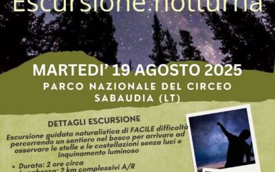 Stelle nel Bosco del Circeo – Escursione Notturna Astronomica