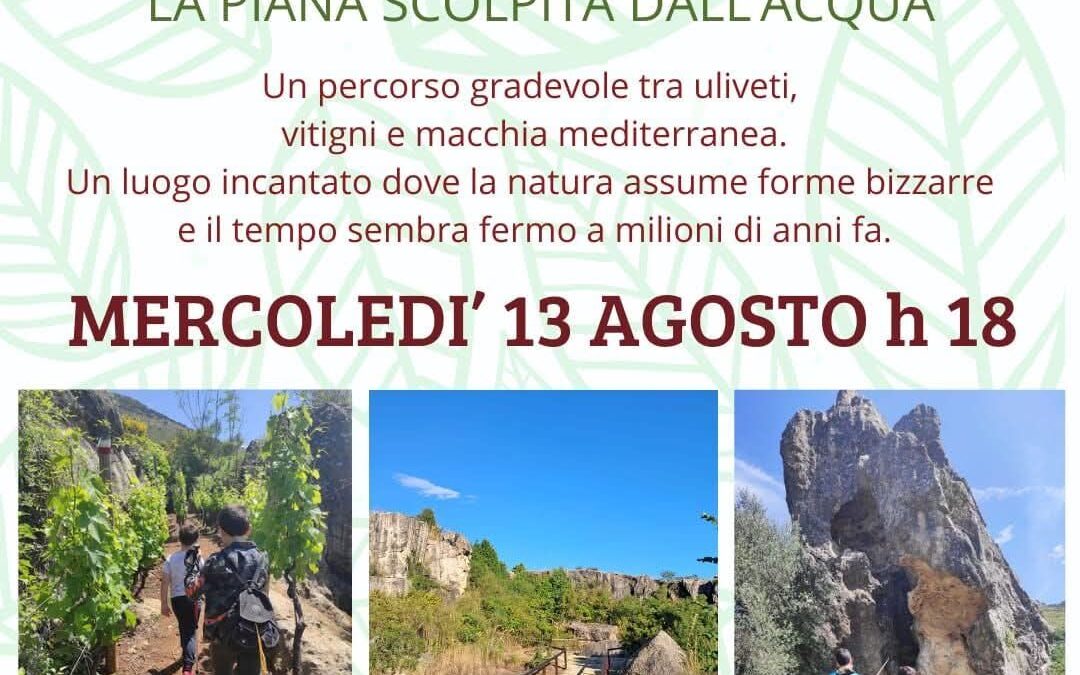 Visita Guidata a Campo Soriano
